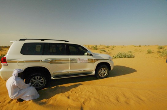 Safari, turistler için ilginç bir deneyim olabilir. 